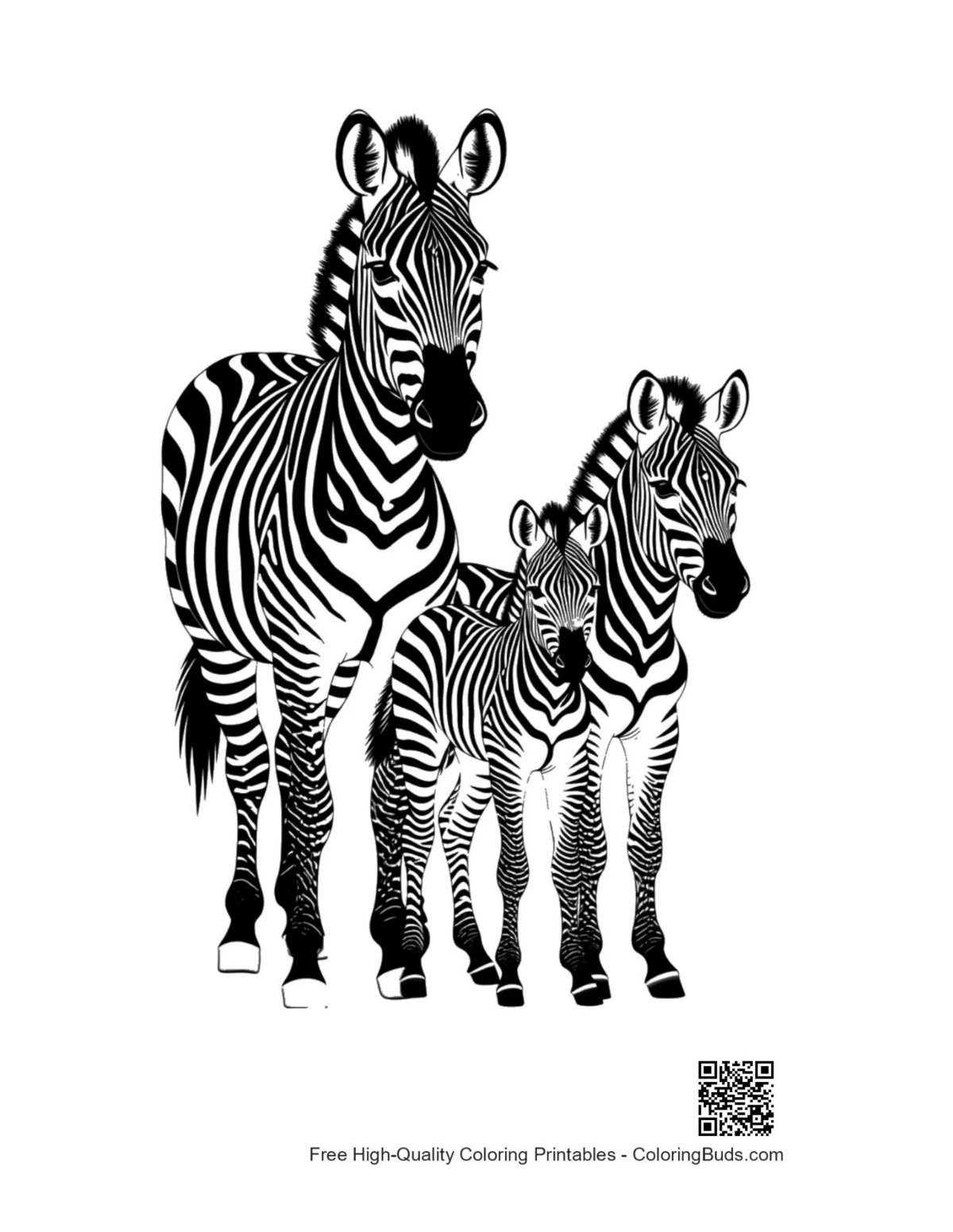 Black and white Zebra Family coloring page