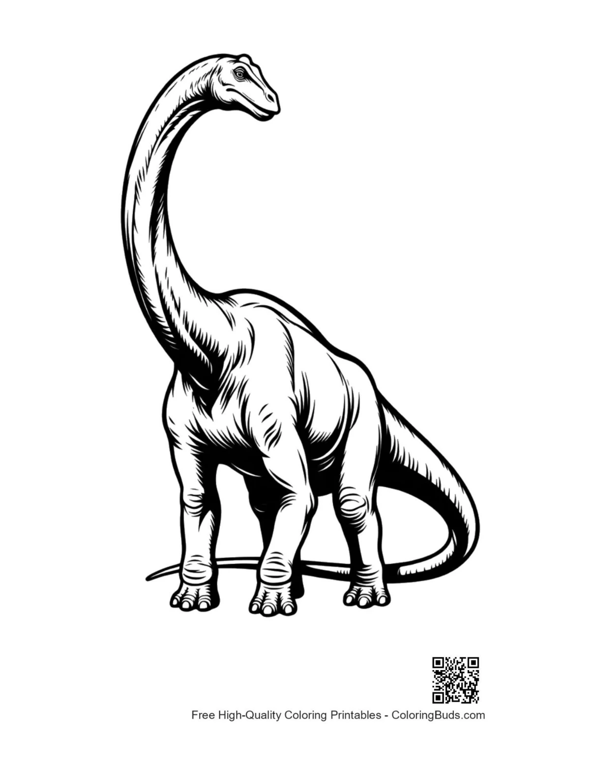 Majestic Brachiosaurus standing tall printable coloring page