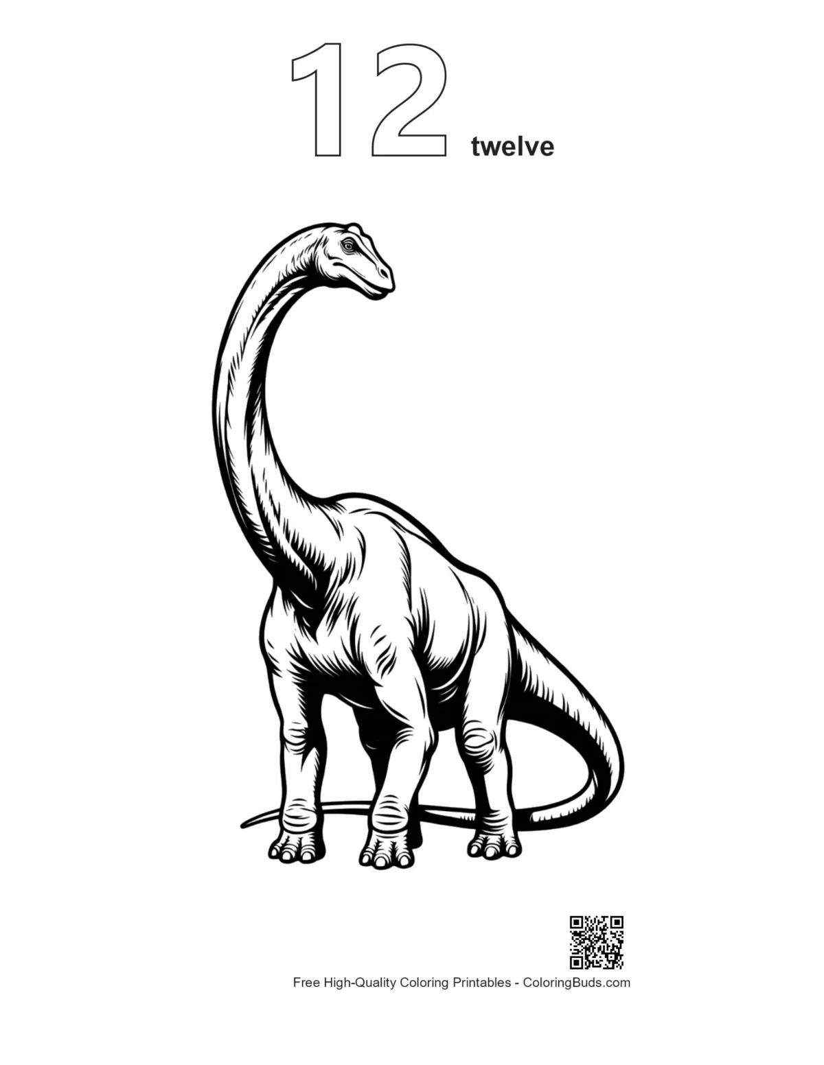 Brachiosaurus outline printable with number 12