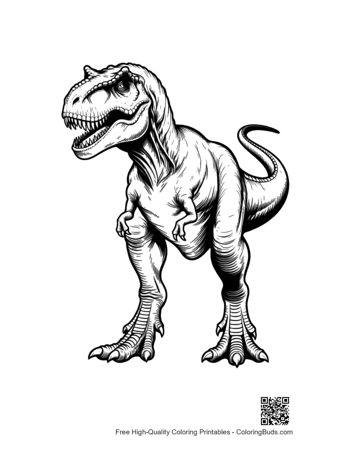 Fierce roaring T-Rex dinosaur illustration for coloring