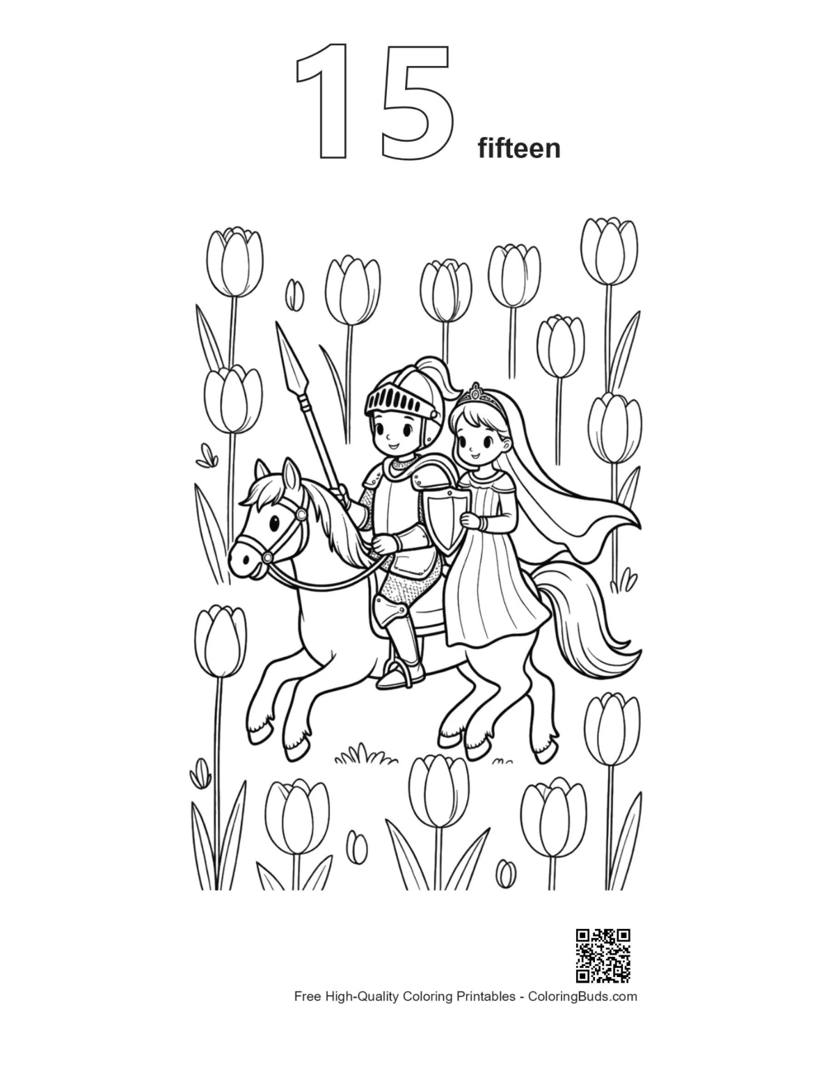 Numbered outline 15: little knight princess pony field