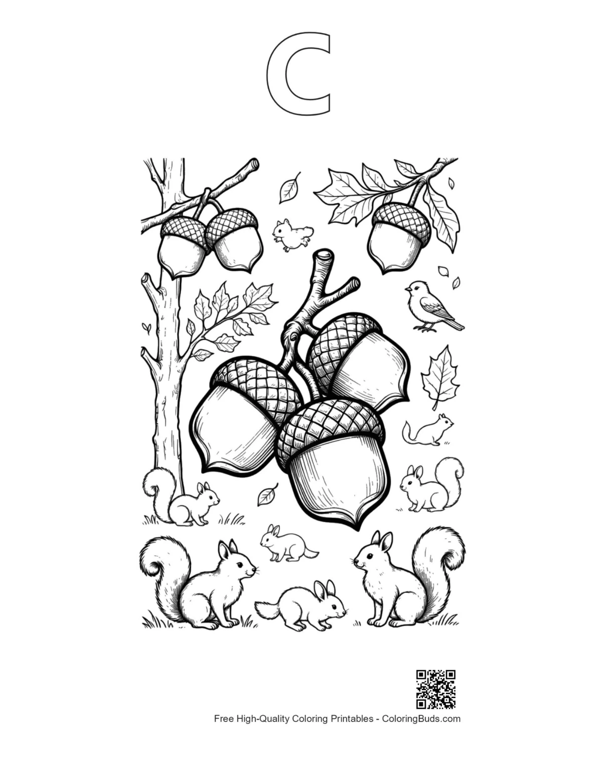 Acorn leaf coloring page outline letter C