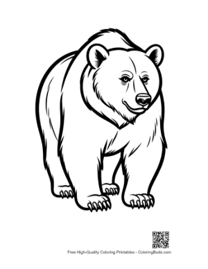 Thumbnail: Mighty Grizzly Bear Stance
