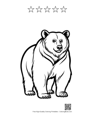 Thumbnail: Mighty Grizzly Bear Standing Tall Printable and 5 Star Outline