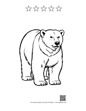 Thumbnail: Majestic Polar Bear Line Art Printable and 5 Star Outline