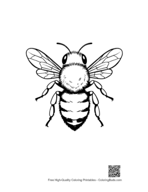 Thumbnail: Detailed Honey Bee Line Art