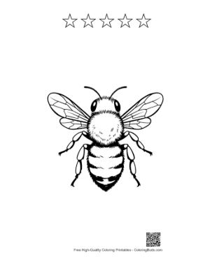 Thumbnail: Detailed Honey Bee Line Art Printable and 5 Star Outline