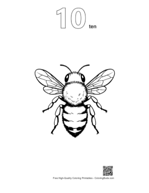 Thumbnail: Detailed Honey Bee Line Art Printable Outline Number 10