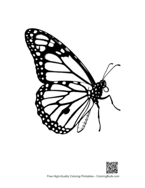 Thumbnail: Elegant Monarch Butterfly Line Art