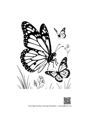 Thumbnail: Monarch Butterflies Fluttering in Meadow