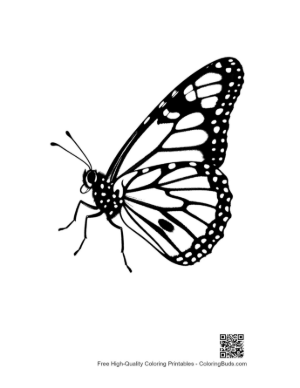 Thumbnail: Monarch Butterfly Silhouette