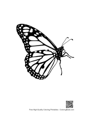 Thumbnail: Monarch Butterfly Silhouette