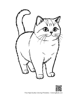 Thumbnail: Cute British Shorthair Kitten Standing Alert