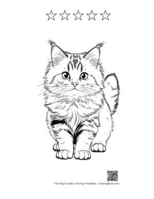 Thumbnail: Cute Maine Coon Kitten Sketch Printable and 5 Star Outline