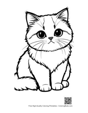 Thumbnail: Cute Persian Kitten Sitting Adorably