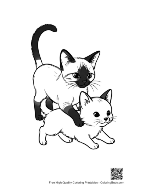 Thumbnail: Playful Siamese Kittens Mounting in Fun