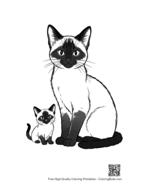 Thumbnail: Siamese Cat and Kitten Sitting Together