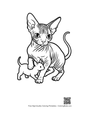 Thumbnail: Sphynx Cat and Kitten Outline
