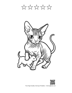 Thumbnail: Sphynx Cat and Kitten Outline Printable and 5 Star Outline