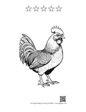 Thumbnail: Majestic Rooster Illustration Printable and 5 Star Outline