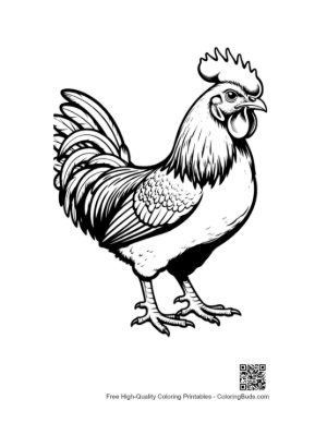 Thumbnail: Majestic Rooster Standing Proudly