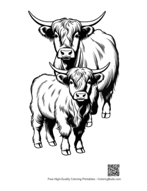 Thumbnail: Highland Cow and Calf Line Art