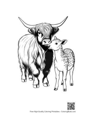 Thumbnail: Highland Cow and Calf Nuzzling Affectionately