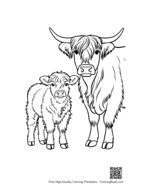 Thumbnail: Highland Cow and Calf Outline Drawing