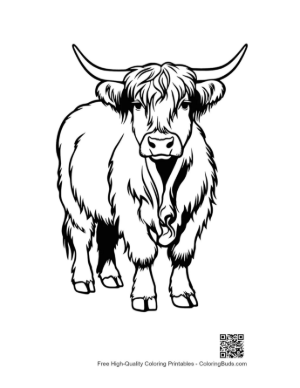Thumbnail: Highland Cow Illustration