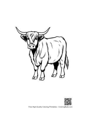Thumbnail: Highland Cow Portrait