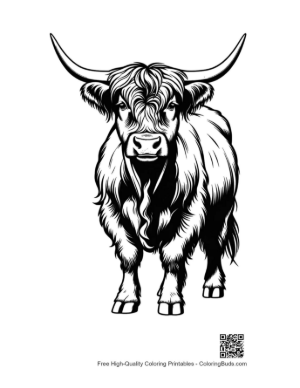 Thumbnail: Highland Cow Portrait