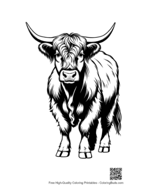 Thumbnail: Highland Cow Portrait