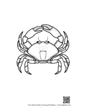 Thumbnail: Detailed Line Art of Red Crab