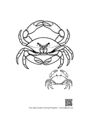 Thumbnail: Intimidating Red Crab Line Art Duo