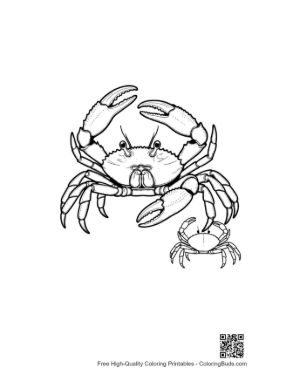 Thumbnail: Red Crab Mother and Baby Line Art