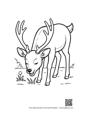 Thumbnail: Free Buck with Antlers Coloring Page Printable
