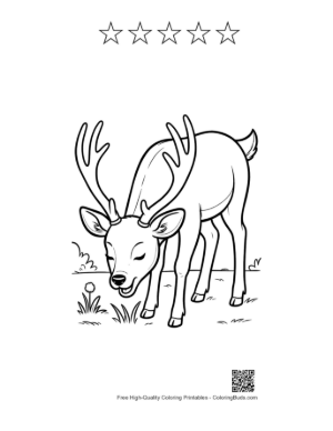 Thumbnail: Free Buck with Antlers Coloring Page Printable and 5 Star Outline