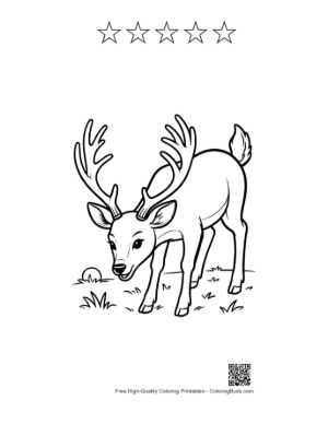 Thumbnail: Handsome Buck with Antlers Looking Back in the Woods Printable and 5 Star Outline