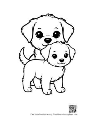 Thumbnail: Two Adorable Fluffy Puppies Standing Together