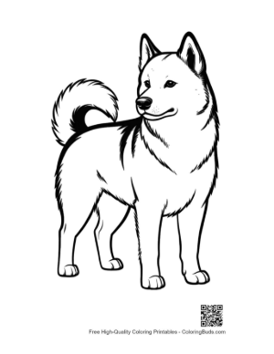 Thumbnail: Standing Siberian Husky Line Art