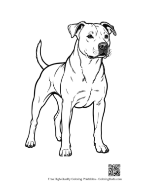 Thumbnail: Confident Pitbull Standing Proudly