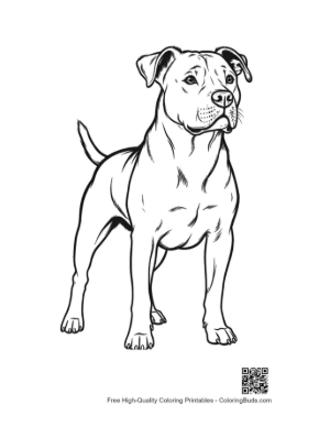 Thumbnail: Confident Pitbull Standing Proudly
