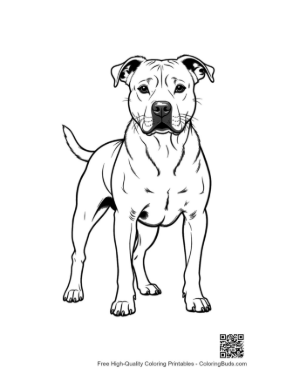 Thumbnail: Confident Pitbull Standing Proudly