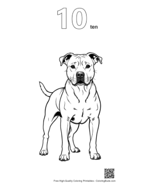 Thumbnail: Confident Pitbull Standing Proudly Printable Outline Number 10