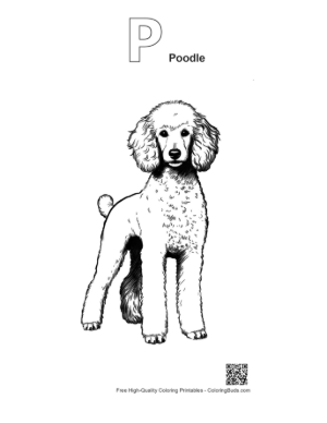 Thumbnail: Adorable Poodle Standing Proudly Printable Outline Alphabet P Poodle