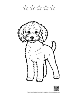 Thumbnail: Cute Poodle Puppy Line Art Printable and 5 Star Outline