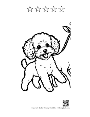 Thumbnail: Happy Poodle Puppy on Leash Coloring Page Printable and 5 Star Outline