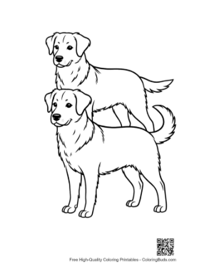 Thumbnail: Stacked Labrador Puppies Standing Tall