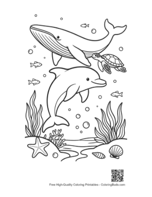 Thumbnail: Dolphin Jumping Over a Sea Lion in the Tropical Sea Printable