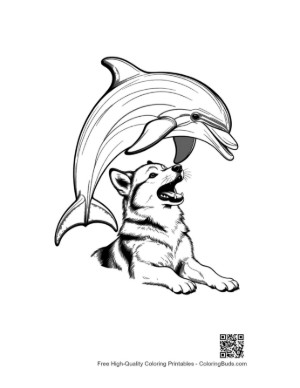 Thumbnail: Husky Puppy Under Leaping Dolphin